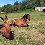 O Busto Aldea Rural Chalet A Pobra do Brollon