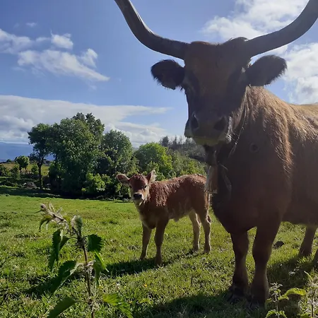 O Busto Aldea Rural * A Pobra do Brollon