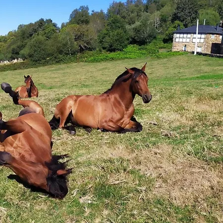 O Busto Aldea Rural シャレー A Pobra do Brollon