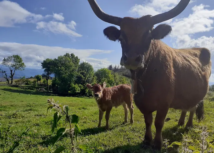 O Busto Aldea Rural * A Pobra do Brollon