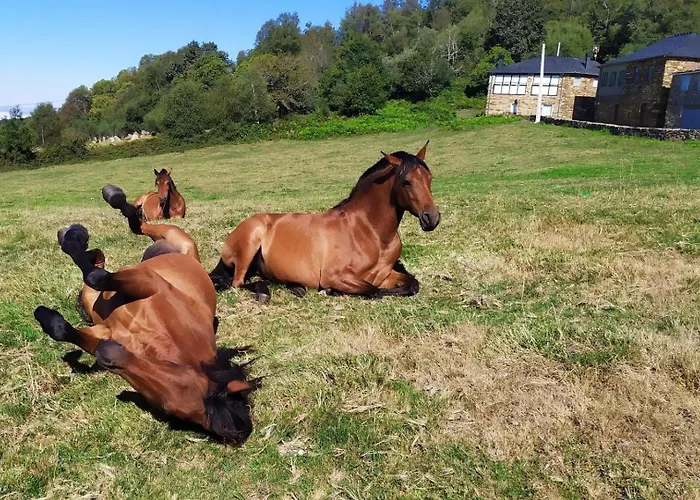 O Busto Aldea Rural Alpstuga A Pobra do Brollon