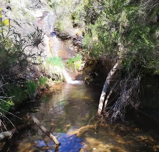 O Busto Aldea Rural *